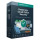 KASPERSKY PROFESIONAL