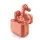 PRODUCTOS NGS
