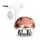 ROWENTA MOULINEX Y TEFAL