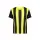 Gold / Black (PREMIERTSA)