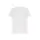 White (SPORTRGLM)