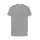 Ash Grey (TSOCEAN)
