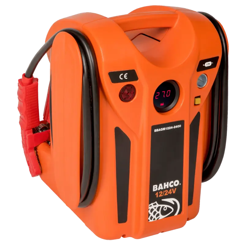 Booster 12 / 24 V 2400 / 1200 CA
 - BBAGM1224-2400