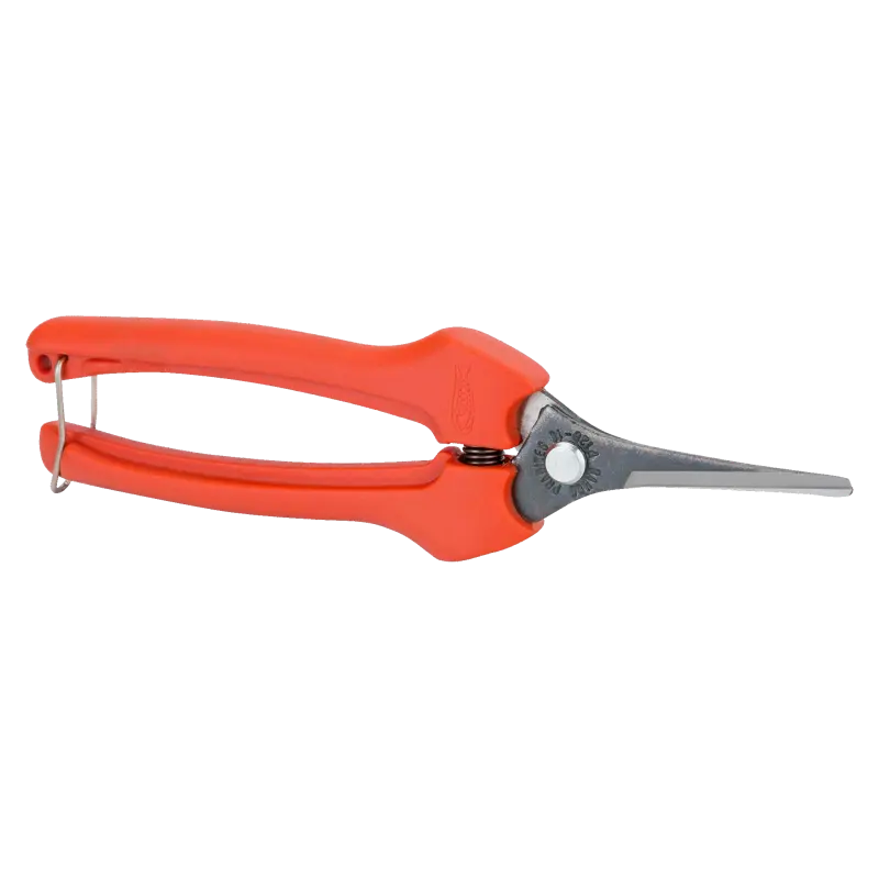 Tesoura de vindima comprida de 6 mm com cabo de fibra de vidro 190 mm
- P128-19 Tesoura de vindima comprida de 6 mm com cabo de fibra de vidro 190 mm
- P128-19
