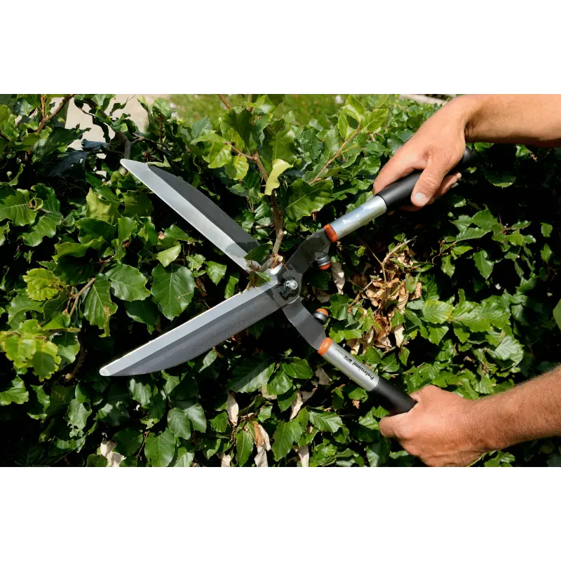 Tesouras Corta Sebes Leve
- P51-SL Tesouras Corta Sebes Leve
- P51-SL