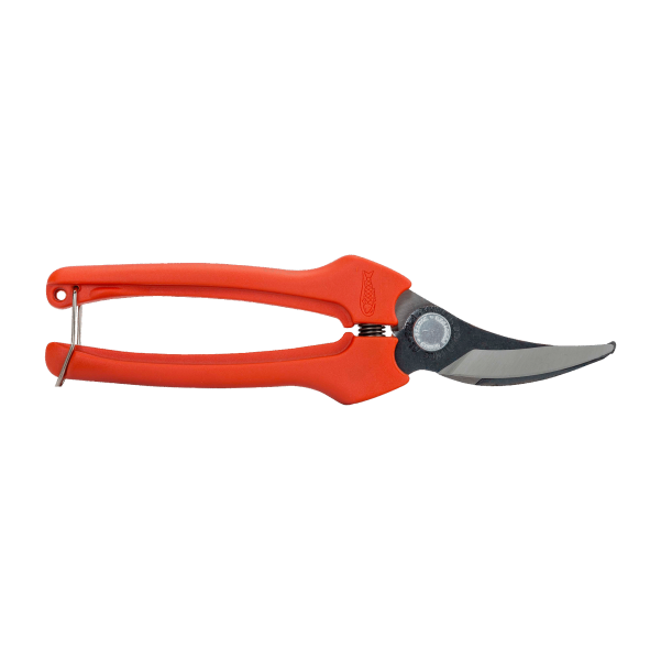 Tesouras para vindima, limpeza e trabalhos florais
- P123-19-BULK30 Tesouras para vindima, limpeza e trabalhos florais
- P123-19-BULK30