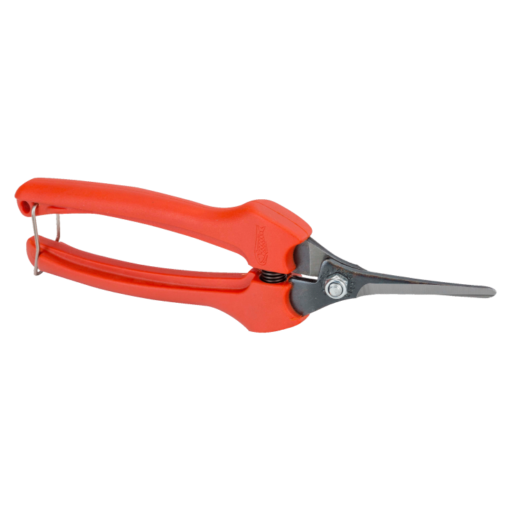 Tesouras para vindima, limpeza e trabalhos florais
- P129-19-BULK30 Tesouras para vindima, limpeza e trabalhos florais
- P129-19-BULK30