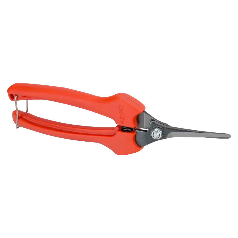 Tesouras para vindima, limpeza e trabalhos florais
- P129-19-BULK30 Tesouras para vindima, limpeza e trabalhos florais
- P129-19-BULK30