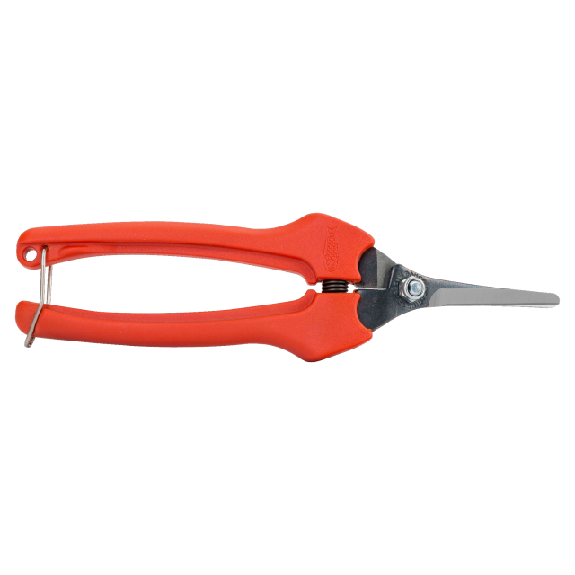 Tesouras para vindima, limpeza e trabalhos florais
- P129-19-BULK30 Tesouras para vindima, limpeza e trabalhos florais
- P129-19-BULK30