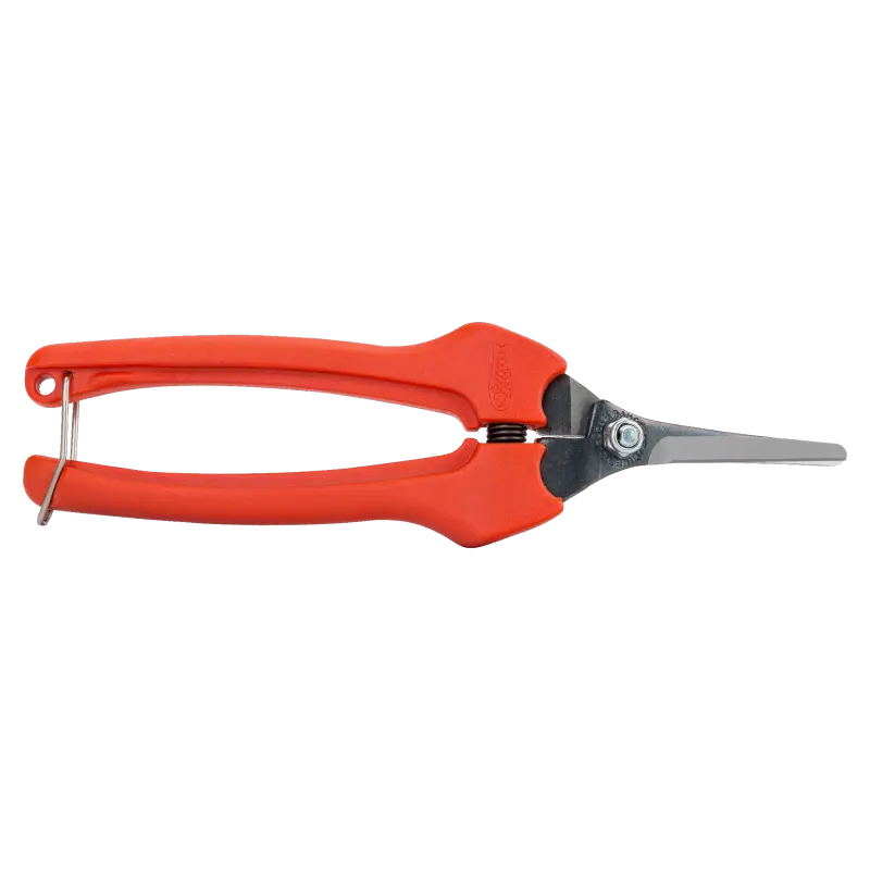 Tesouras para vindima, limpeza e trabalhos florais
- P129-19-BULK30 Tesouras para vindima, limpeza e trabalhos florais
- P129-19-BULK30