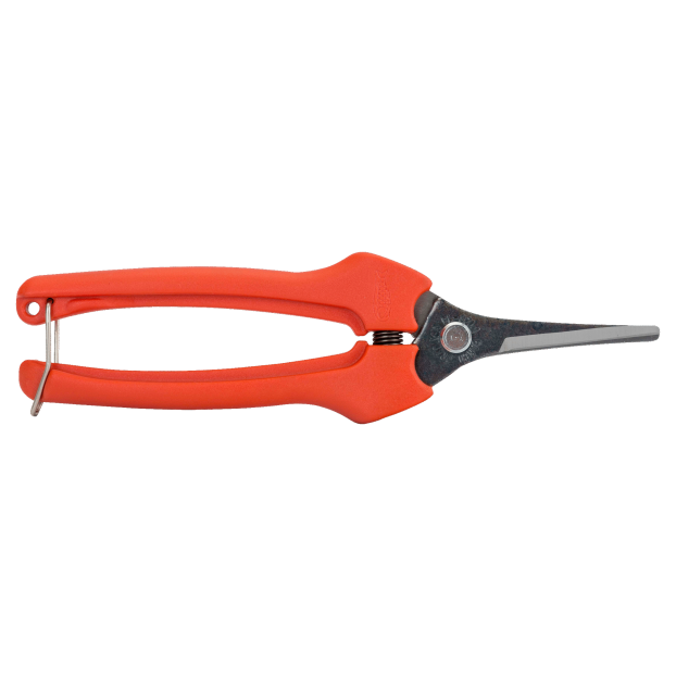 Tesoura de vindima comprida de 6 mm com cabo de fibra de vidro 190 mm - 30 unidades a granel
- P128-19-BULK30 Tesoura de vindima comprida de 6 mm com cabo de fibra de vidro 190 mm - 30 unidades a granel
- P128-19-BULK30