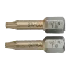 Pontas para aparafusadora de torção em estanho 1/4" para parafusos TORX® de T15 - 25 mm - 10 Pcs/Caixa de plástico
 - 62TIN/T15