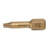 Pontas de aparafusadora de torção diamantadas 1/4" para parafusos TORX® de T40 - 25 mm - 5 Pcs/Caixa de plástico
- 63D/T40 Pontas de aparafusadora de torção diamantadas 1/4" para parafusos TORX® de T40 - 25 mm - 5 Pcs/Caixa de plástico
- 63D/T40