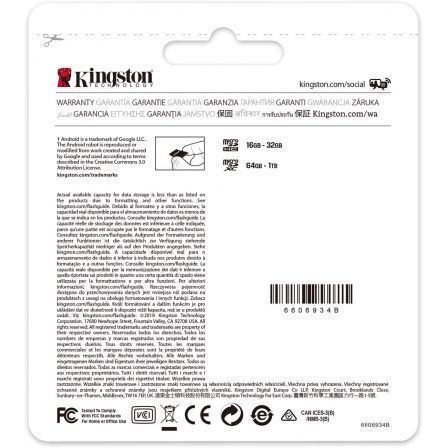 Tarjeta de Memoria Kingston CANVAS Select Plus 64GB microSD XC/ Clase 10/ 100MBs Tarjeta de Memoria Kingston CANVAS Select Plus 64GB microSD XC/ Clase 10/ 100MBs