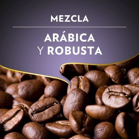 Café en Grano Lavazza Espresso Barista Intenso/ 500g Café en Grano Lavazza Espresso Barista Intenso/ 500g