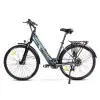 Bicicleta Eléctrica SmartGyro Ebike Sunset Titanium/ Motor 250W/ Ruedas 27.5'/ Titanium