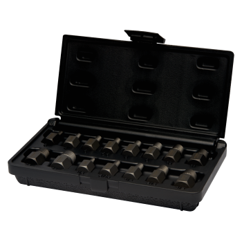 Conjuntos de pontas para extratore de pernos, 15 Pcs