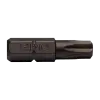 Pontas 1/4 T6, 25 mm, caixa de 10 pcs Pontas 1/4 T6, 25 mm, caixa de 10 pcs