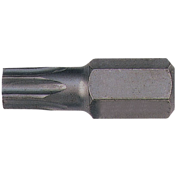 10 mm Ponta Torx 55, 30 mm 10 mm Ponta Torx 55, 30 mm