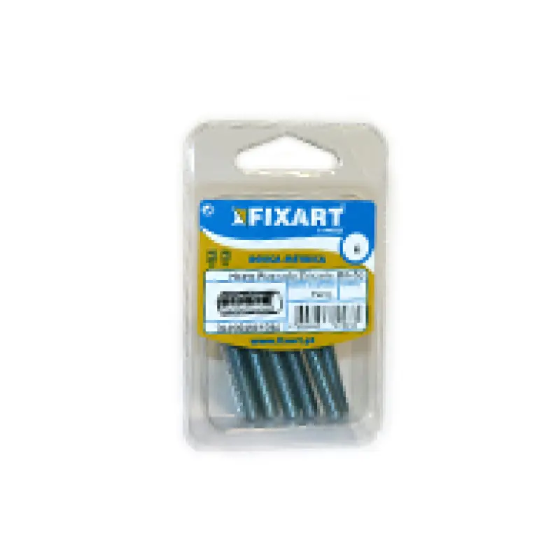 Blister Haste Roscada Zn M6x50 Fixart Blister Haste Roscada Zn M6x50 Fixart