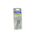 Blister Pf.Atp Sxt DIN7504K Aço Zn 4,8x19 Fixart Blister Pf.Atp Sxt DIN7504K Aço Zn 4,8x19 Fixart