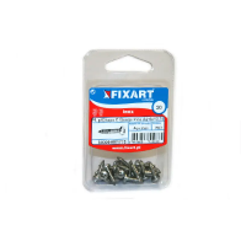 Blister Pf.Atr C.Q. Ph DIN7981 Inox A2 1/2x6 Fixart