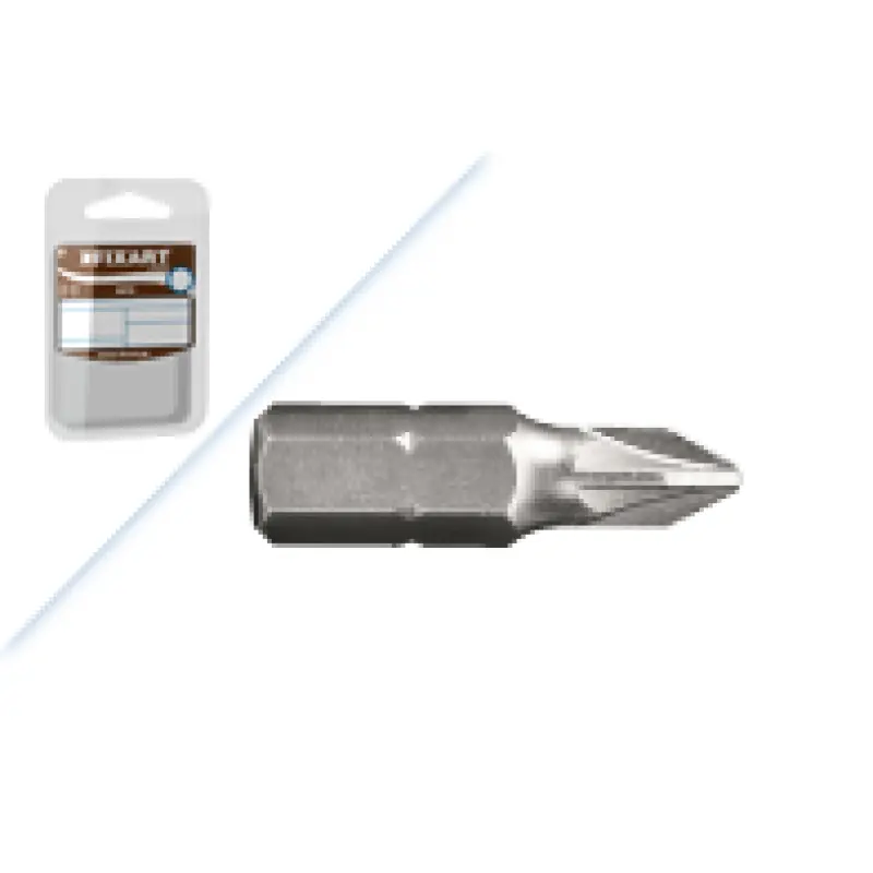Blister Bit Torx T20 (2 bits)