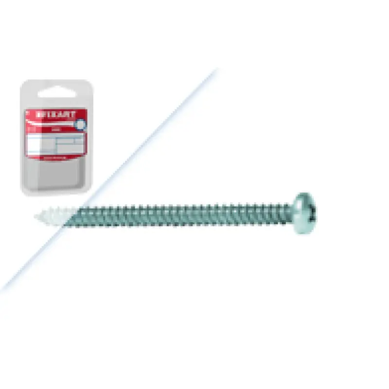 Blister Pf.Atr C.Q. Ph DIN7981 Inox A2 1 1/4x6 Fixart