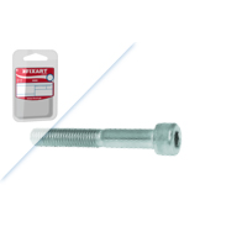 Blister Pf.C.Cil. Sxt Int DIN912/ISO4762 Aço Zn M6x25 Fixart Blister Pf.C.Cil. Sxt Int DIN912/ISO4762 Aço Zn M6x25 Fixart