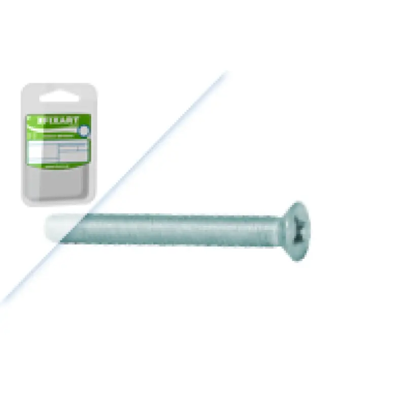 Blister Pf. C. Emb.Ph DIN965 Zn M5x40 FIXART Blister Pf. C. Emb.Ph DIN965 Zn M5x40 FIXART
