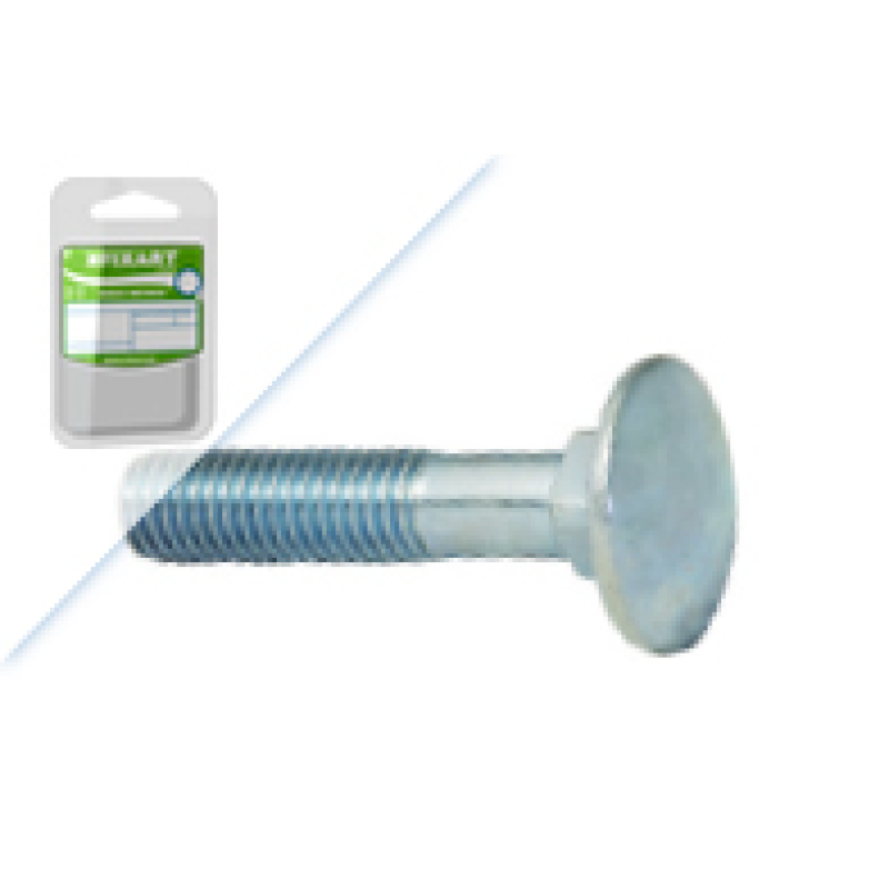 Blister Pf.c/Quadra DIN603 Fe Zn M8x40 Fixart Blister Pf.c/Quadra DIN603 Fe Zn M8x40 Fixart