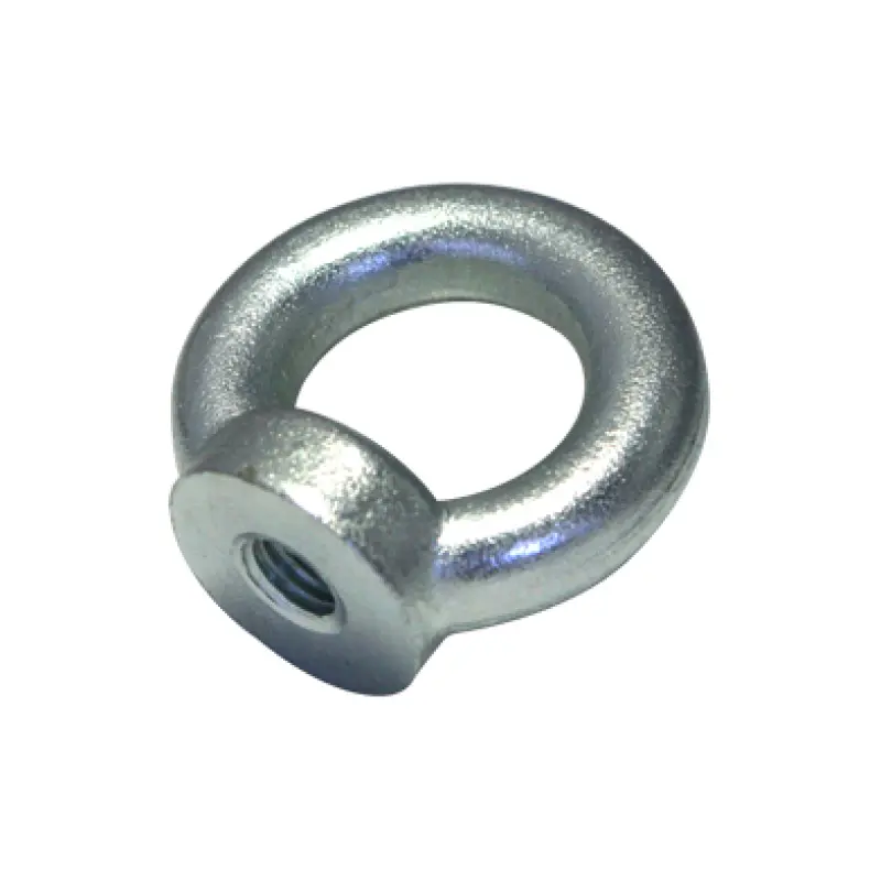 Olhal Femea DIN582 Fe Zn M10 Olhal Femea DIN582 Fe Zn M10