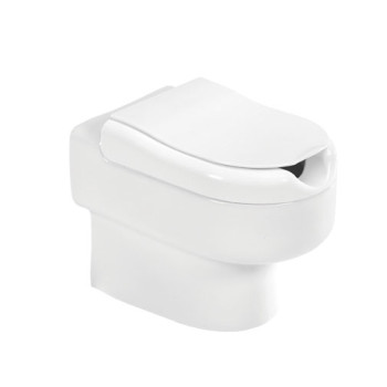 Sanita simples Sanindusa New WcCare branco com descarga vertical
