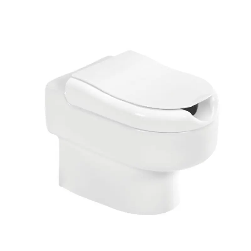 Sanita simples Sanindusa New WcCare branco com descarga vertical Sanita simples Sanindusa New WcCare branco com descarga vertical